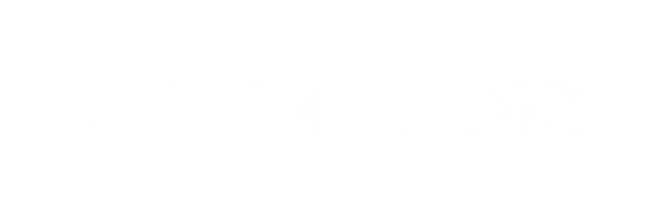 T3i Experience